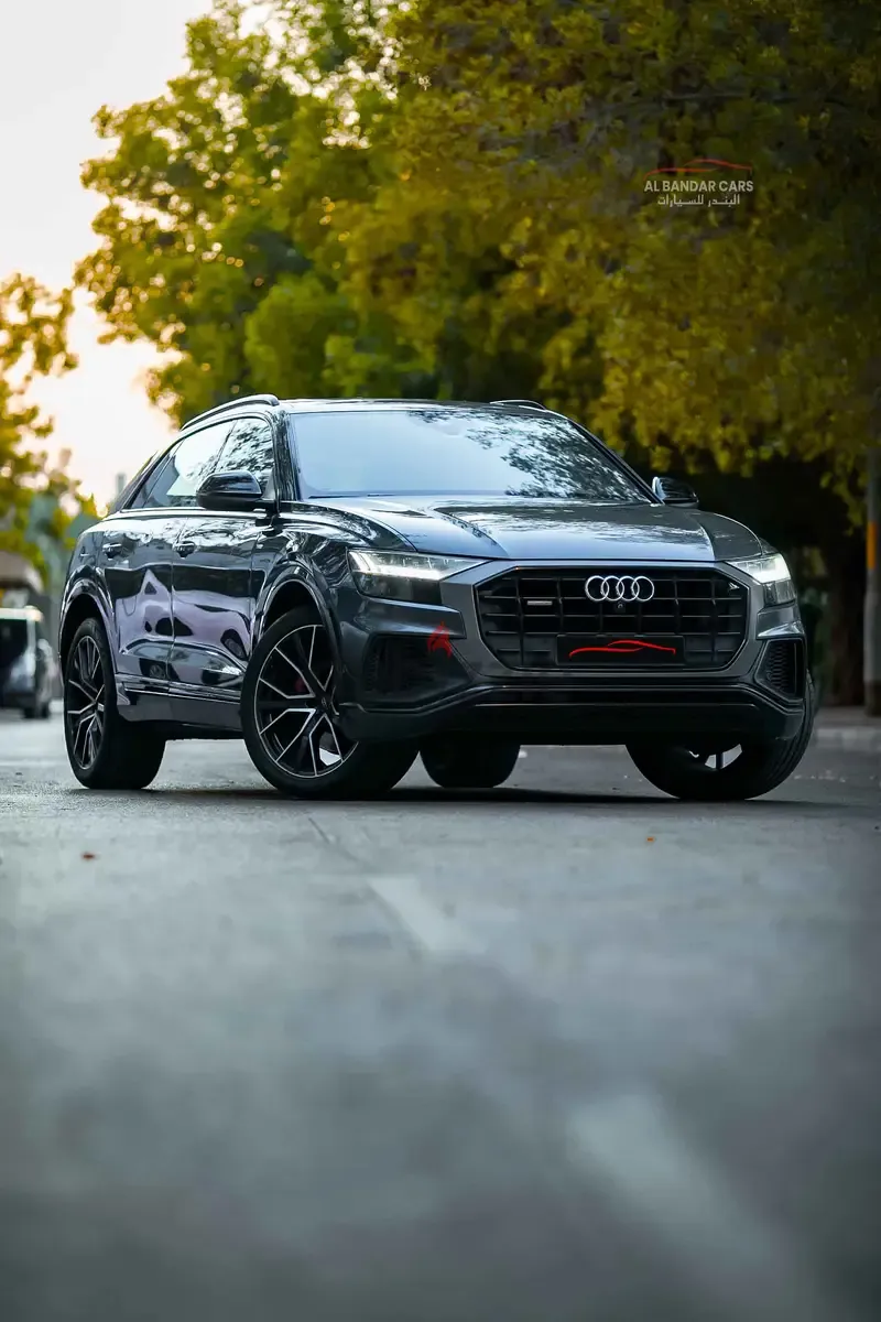 Audi Q8 2019